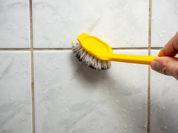 Best Mold Damage Repair  in Clifton, IL