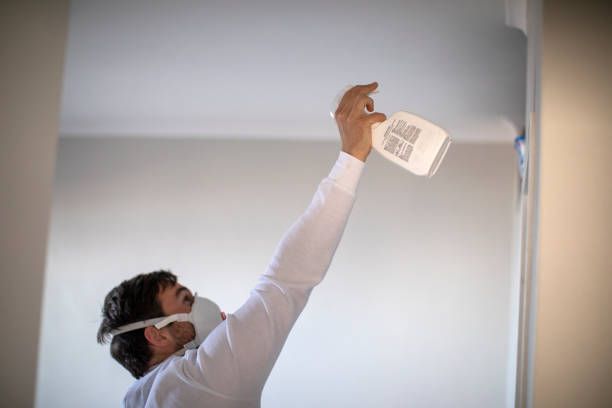 Professional Mold Removal in Clifton, IL