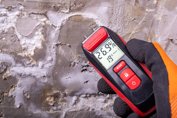 Best Mold Testing  in Clifton, IL