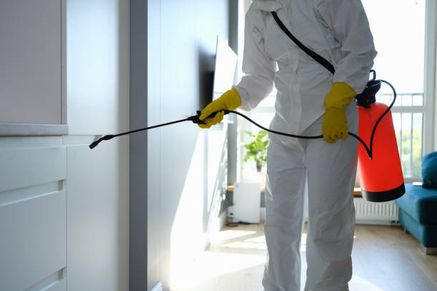 Best Fast Mold Removal  in Clifton, IL